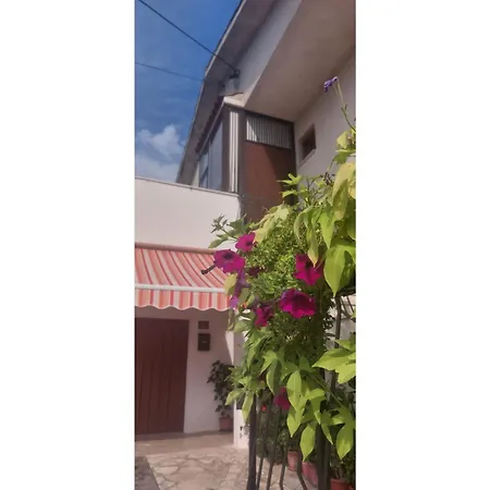 Dino Appartement Roč